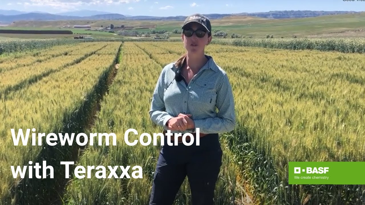 Reddy Anna ID: Unlocking Identity, Heritage, and Community Impact